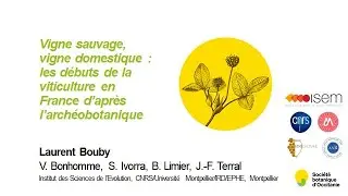 Convergences botaniques 2020 - 4. La viticulture en France d'apr&egrave;s l'arch&eacute;obotanique (Laurent Bouby)