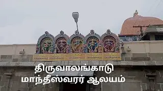 திருவாலங்காடு மாந்தீஸ்வரர் ஆலயம்