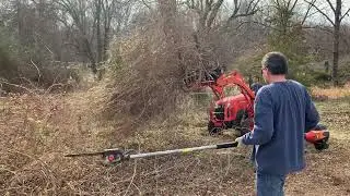 Yard Solutions Brush Clearing