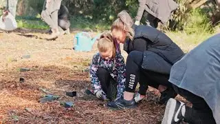 Plant A Tree Day 2024