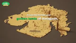 40 Years of Tradition in Every Drop The Purest Cold-Pressed Oil Journey