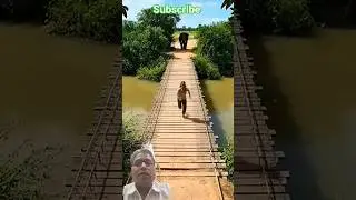 &ldquo;Don&rsquo;t blink 😨&rdquo;&ldquo;Survival Mode ON 😳 | Elephant Attack!&rdquo;
