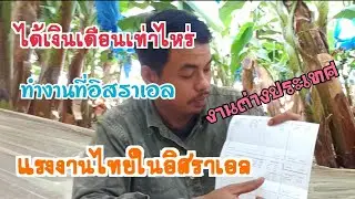 ทำงานต่างประเทศ งานเกษตรที่อิสราเอลได้เงินเดือนเท่าไหร่ คุ้มค่าไหมกับการที่ต้องจากบ้านมาไกล