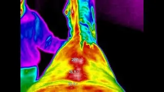 Who are we? at Equine Infrared