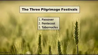 The Three Pilgrimage Festivals