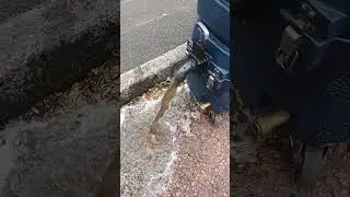 Dirty water from grubby carpets #108
