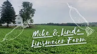 Linsmeier&rsquo;s Organic Farm and their Oats, Sorghum Sudan, Cow Peas and Daikon Radish Cover Crops