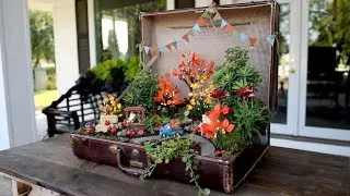 Old Suitcase Turned Pumpkin Patch Miniature Garden! 🎃🌿// Garden Answer