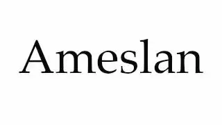 How to Pronounce Ameslan
