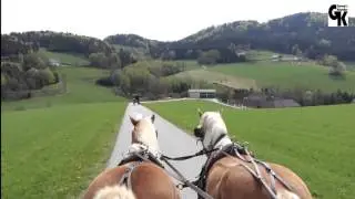 Georg`s Kutscher
