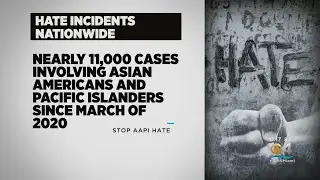 South Florida Activists Expressing Concerns Amid Surge In Attacks Against Asian Americans