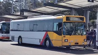preserved ex Torrens transit 422 man SL202 PMCSA loud ZF.