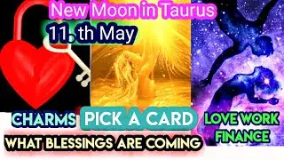 Pick a Card 💗 New Moon 🌑 What blessings are coming Love ❤️ work 🍀 Finance 💰 Charms Reading 🦉💚