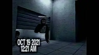 Lethal paradox 4 vhs