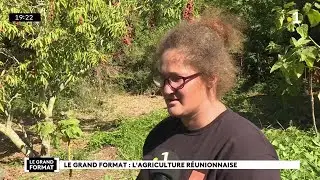 Focus sur le glyphosate.
