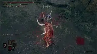 Antspur Rapier + Cleanrot Knight's Sword - Elden Ring