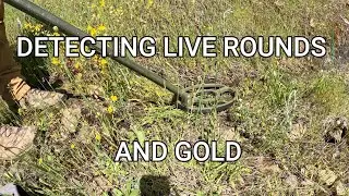 DETECTING LIVE ROUNDS AND GOLD IN NORTHERN CALIFORNIA
