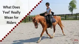 What Does 'Feel' Really Mean for Riders?