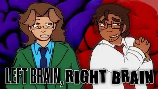 Left Brain,Right Brain | OC ANIMATIC