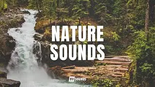 FREE Nature Sounds (Copyright-Free)