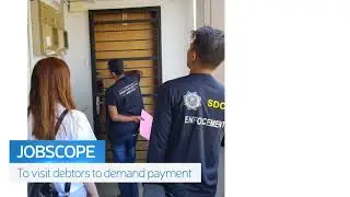 SINGAPORE DEBT COLLECTION SERVICE LLP-Looking for a job?