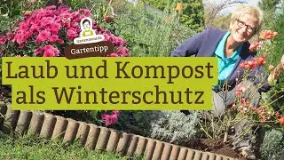 Laub und Kompost / Gartenerde als Winterschutz f&uuml;r Rosen und andere winterharte Stauden