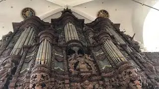 Organ inside of Church of Our Saviour Copenhagen