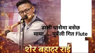 @MusicNepalPvtLtd @sher51668 @डाली घासैमा बसेछ माया Basuri ma Sher Rai ko अत्यन्तै मीठो रहेको छ 