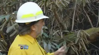Inside Look At Table Rock Wildfire