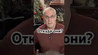 Откуда они? #история #красивосказано #history #точносказано #юмор #скрытые #факты #хочуфакты