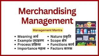 Merchandising, Merchandising in retail management, Merchandising meaning, Merchandising kya hota hai