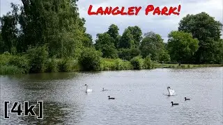 A walk in Langley Park - Buckinghamshire Country Parks [4k]