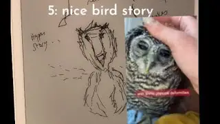 Nice owl in the news 🦉🦉🦉