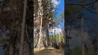 The Daily Climb &mdash; Day 31 | 800 Pull-Ups Beneath the Cedar