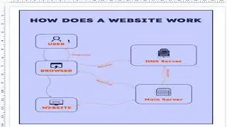 How the Web/Website Works 