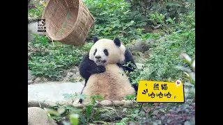 以后没事就不要乱笑！