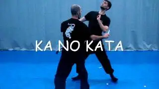 TANTO JUTSU San shin no kata