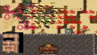 NECROXIA ORIGIN RIFT WARRIOR TASKS[TODAS]