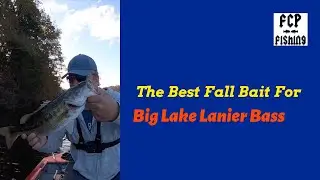 The Best Fall Bait For Big Lake Lanier Spotted Bass