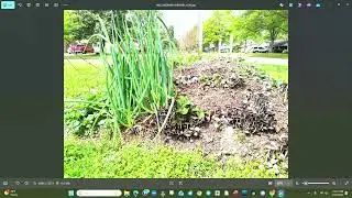 Eatable Landscaping Garden Competition