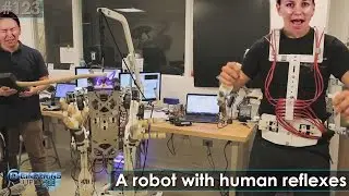 Engineering Update #123: A Robot with Human Reflexes