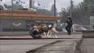 GTA ROLEPLAY RUNNING SOME CHP IN THE SNOW!
