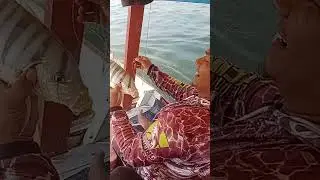 Memancing,strike kue mangali,