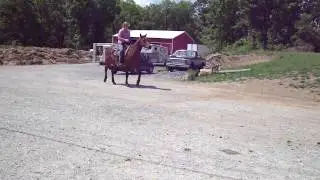 M4H01448.MP4