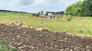 Food Growing at Frank's Farm