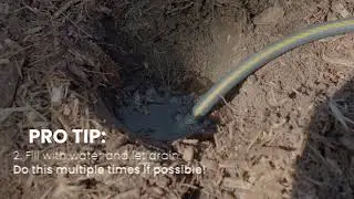 Planting Your Garden