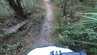 santos sinkhole trail