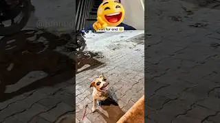 bas kar bhai 🤣 #funny #reaction #comedy #memes #ytshorts #shorts
