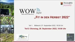 WOWdigital 