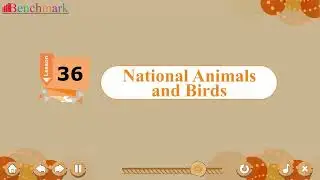 Ch 36 | Benchmark Books | GK | Class 6 | National Animals and Birds | For children